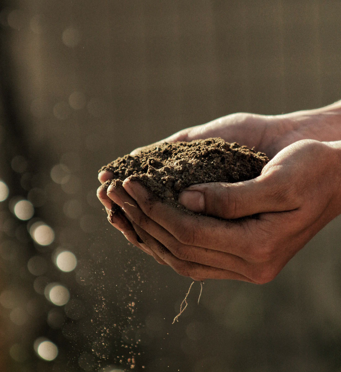 Diamond Mining Companies Find New Ways to Preserve the Environment